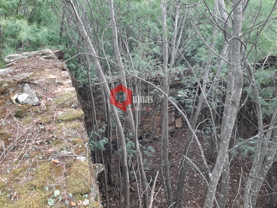 Terreno Agricola ou Rústico para Venda em Santo Estêvão e Moita Foto 16