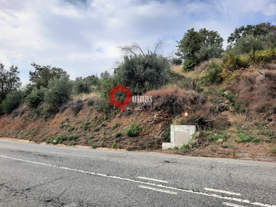 Terreno Agricola ou Rústico para Venda em Santo Estêvão e Moita Foto 18