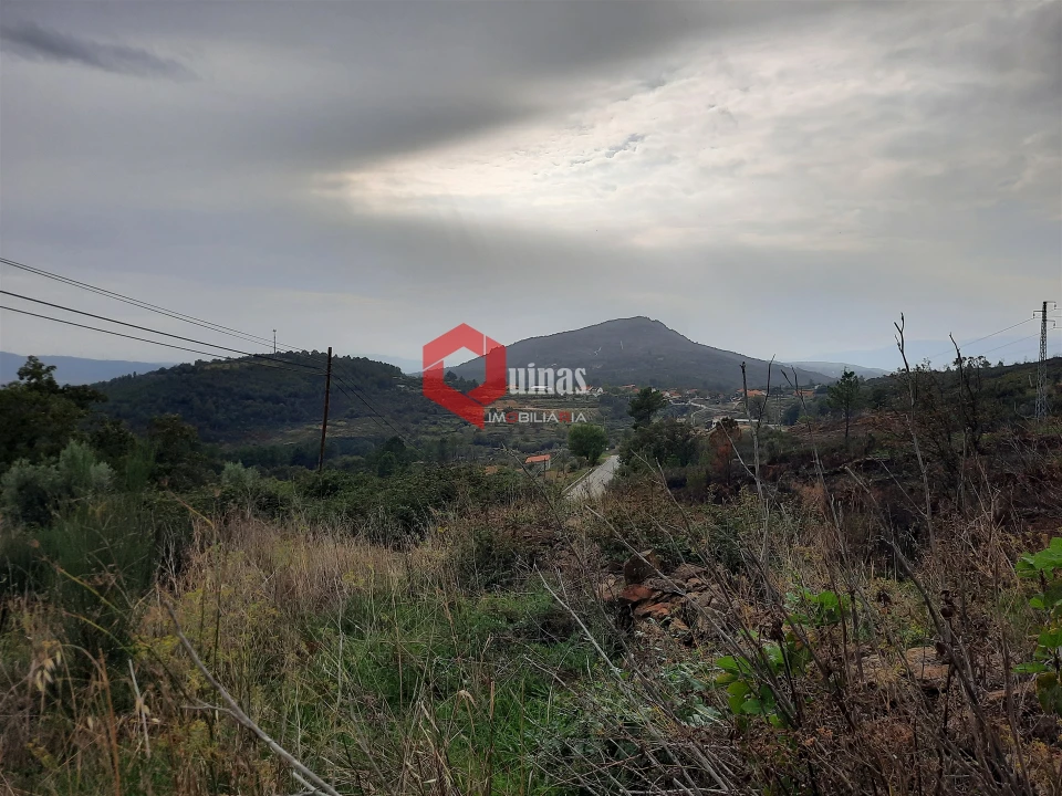Terreno Agricola ou Rústico para Venda em Santo Estêvão e Moita Foto 13