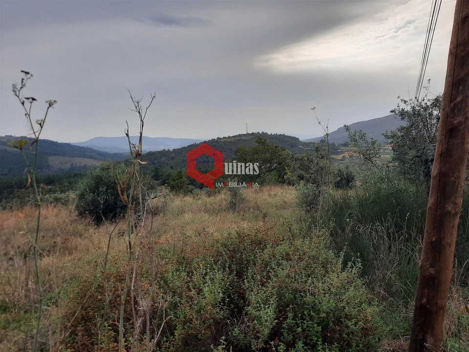 Terreno Agricola ou Rústico para Venda em Santo Estêvão e Moita Foto 12