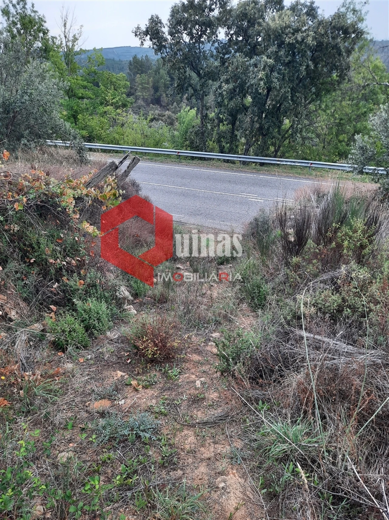Terreno Agricola ou Rústico para Venda em Santo Estêvão e Moita Foto 1