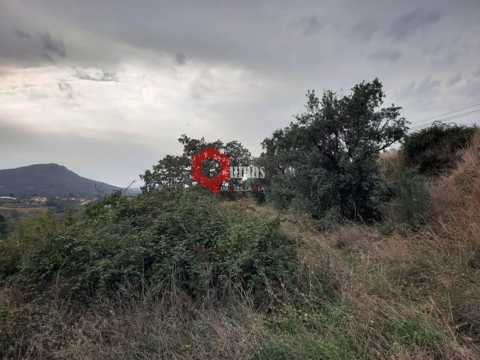 Terreno Agricola ou Rústico para Venda em Santo Estêvão e Moita Foto 4