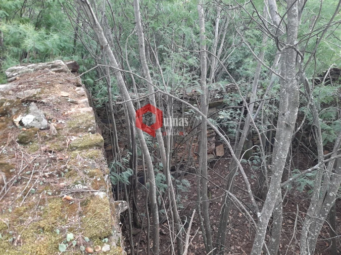 Terreno Agricola ou Rústico para Venda em Santo Estêvão e Moita Foto 16