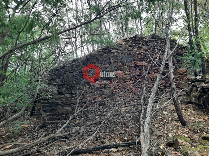 Terreno Agricola ou Rústico para Venda em Santo Estêvão e Moita Foto 15