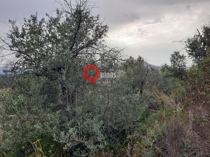 Terreno Agricola ou Rústico para Venda em Santo Estêvão e Moita Foto 2