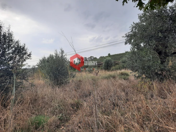 Terreno Agricola ou Rústico para Venda em Santo Estêvão e Moita Foto 7