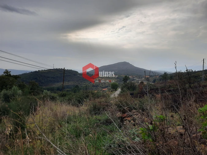 Terreno Agricola ou Rústico para Venda em Santo Estêvão e Moita Foto 13