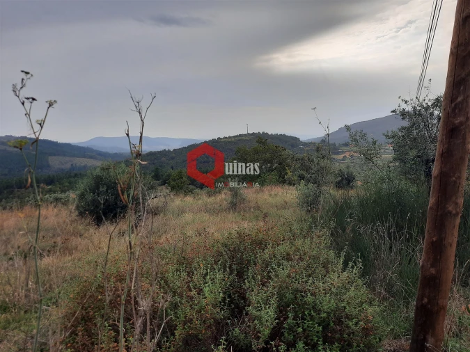 Terreno Agricola ou Rústico para Venda em Santo Estêvão e Moita Foto 12