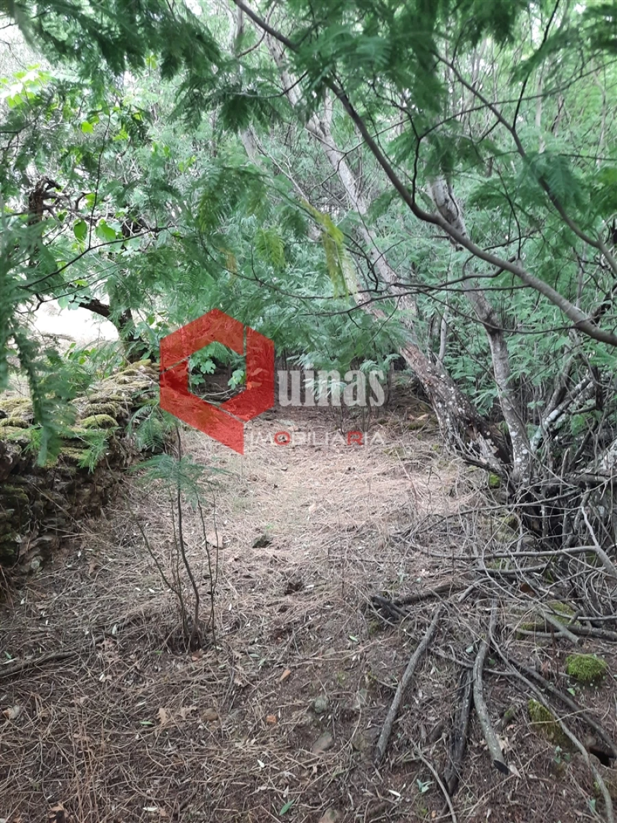 Terreno Agricola ou Rústico para Venda em Santo Estêvão e Moita Foto 14