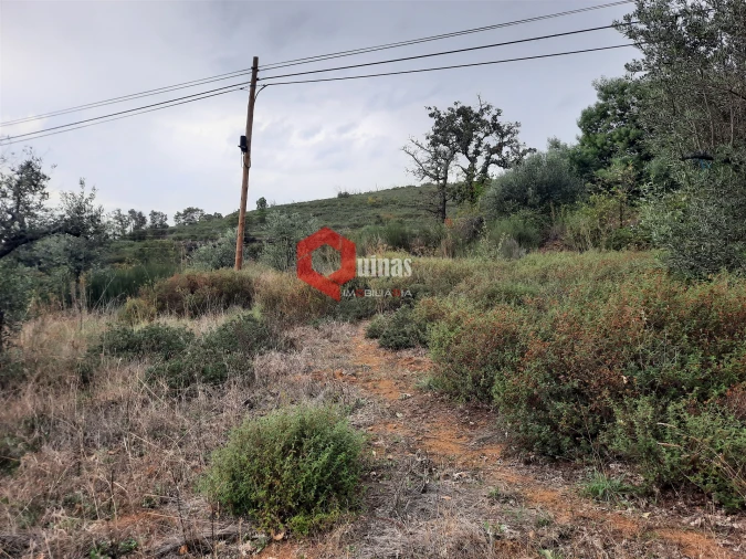 Terreno Agricola ou Rústico para Venda em Santo Estêvão e Moita Foto 9