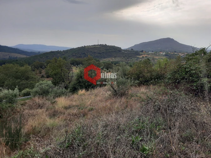 Terreno Agricola ou Rústico para Venda em Santo Estêvão e Moita Foto 3