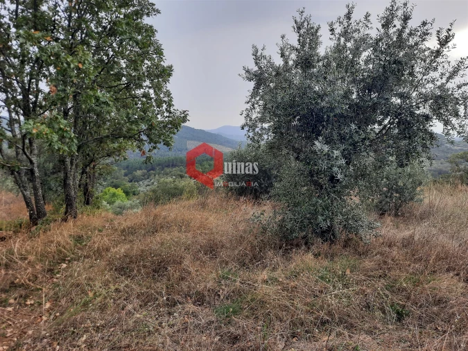 Terreno Agricola ou Rústico para Venda em Santo Estêvão e Moita Foto 10