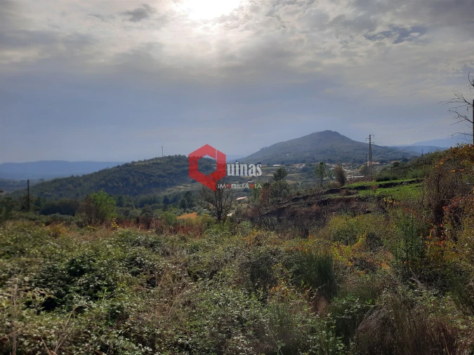Terreno Agricola ou Rústico para Venda em Santo Estêvão e Moita Foto 17
