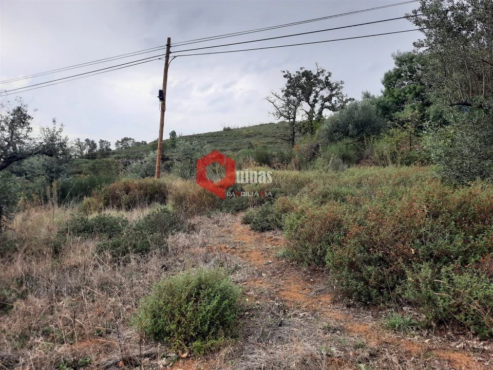Terreno Agricola ou Rústico para Venda em Santo Estêvão e Moita Foto 9