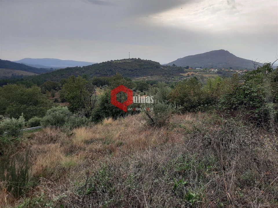 Terreno Agricola ou Rústico para Venda em Santo Estêvão e Moita Foto 3