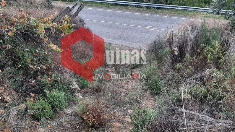 Terreno Agricola ou Rústico para Venda em Santo Estêvão e Moita