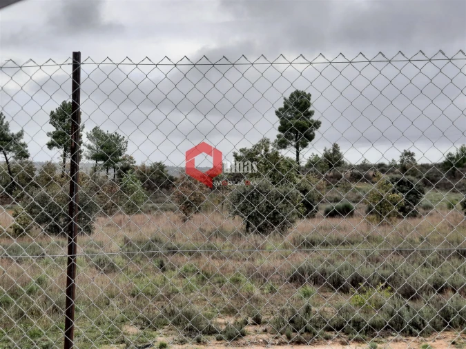 Terreno Agricola ou Rústico para Venda em Cerdeira Foto 4