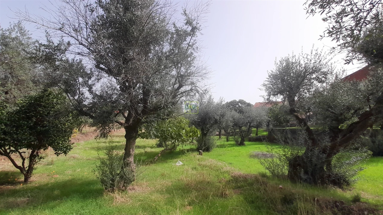 Moradia T4 para Venda em Ninho do Açor e Sobral do Campo Foto 14