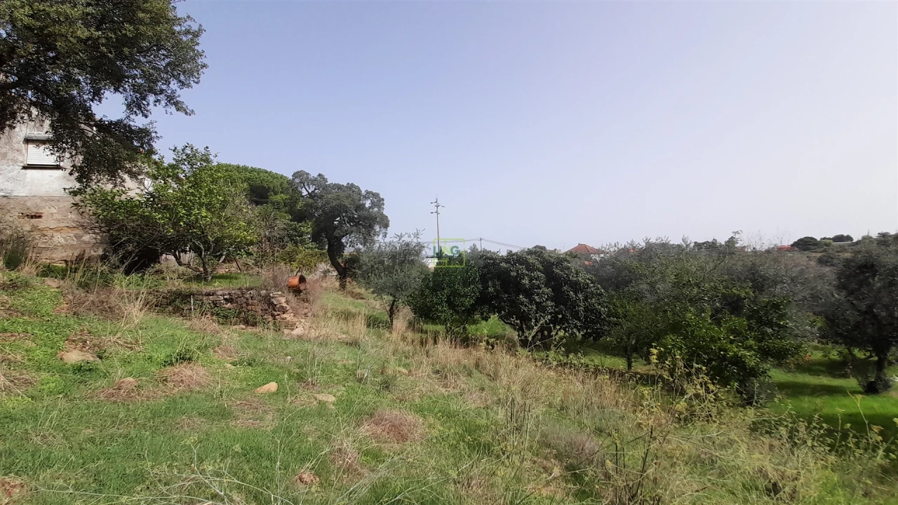 Moradia T4 para Venda em Ninho do Açor e Sobral do Campo Foto 12