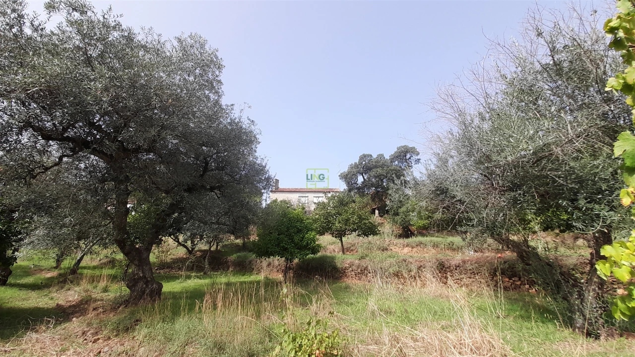 Moradia T4 para Venda em Ninho do Açor e Sobral do Campo Foto 15