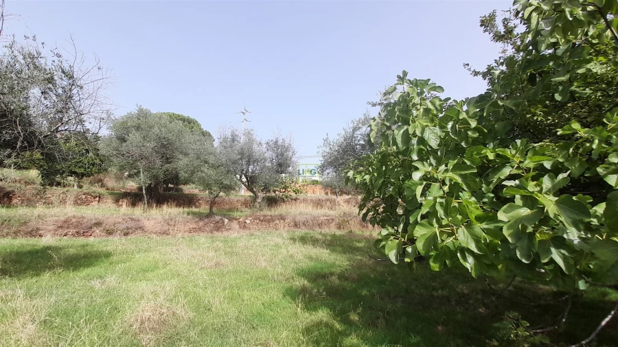 Moradia T4 para Venda em Ninho do Açor e Sobral do Campo Foto 18