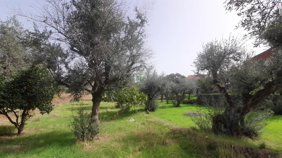 Moradia T4 para Venda em Ninho do Açor e Sobral do Campo Foto 14