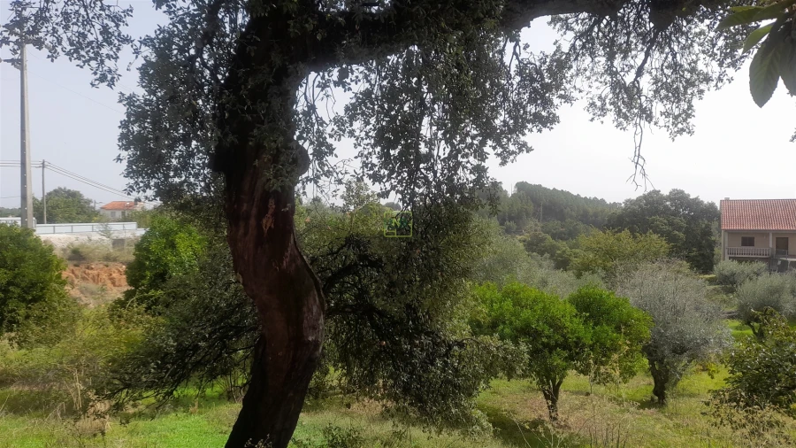 Moradia T4 para Venda em Ninho do Açor e Sobral do Campo Foto 2