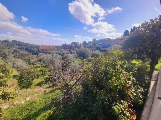 Moradia T4 para Venda em Ninho do Açor e Sobral do Campo Foto 38