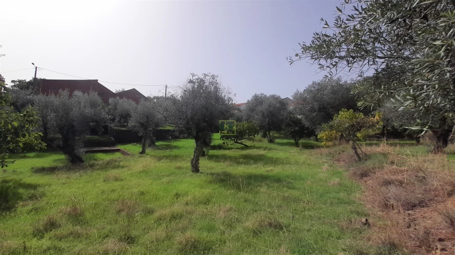 Moradia T4 para Venda em Ninho do Açor e Sobral do Campo Foto 19