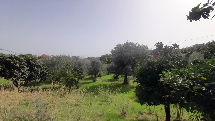 Moradia T4 para Venda em Ninho do Açor e Sobral do Campo Foto 13