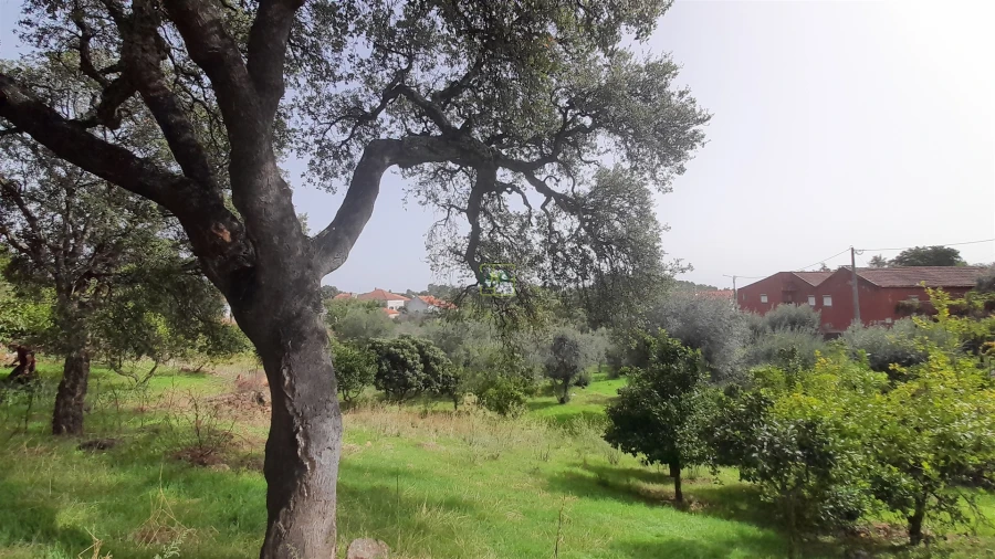 Moradia T4 para Venda em Ninho do Açor e Sobral do Campo Foto 10