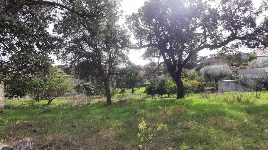 Moradia T4 para Venda em Ninho do Açor e Sobral do Campo Foto 9