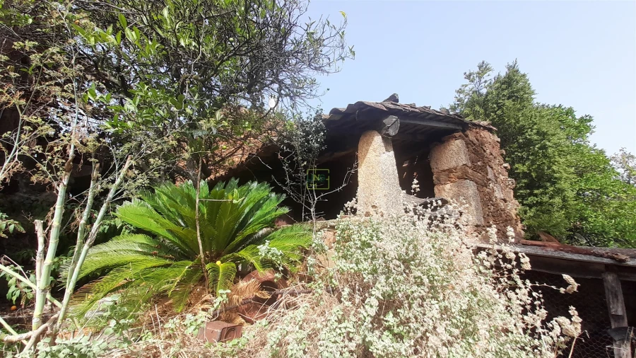 Moradia T4 para Venda em Ninho do Açor e Sobral do Campo Foto 4