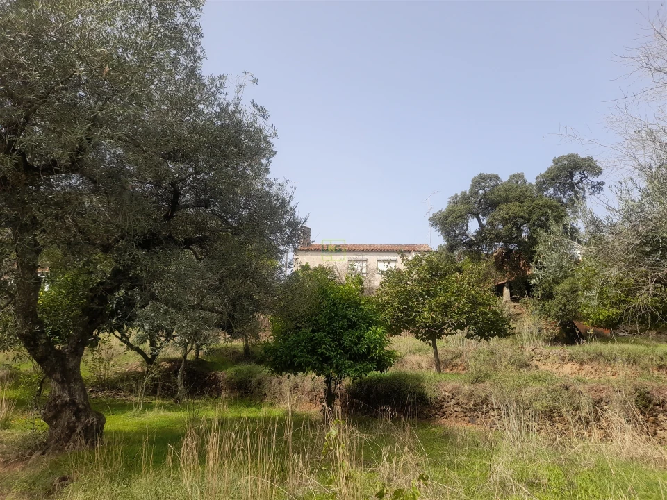 Moradia T4 para Venda em Ninho do Açor e Sobral do Campo Foto 16