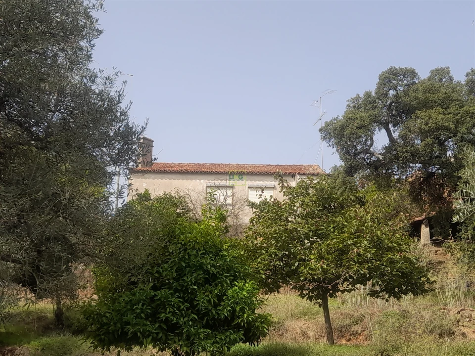 Moradia T4 para Venda em Ninho do Açor e Sobral do Campo Foto 17