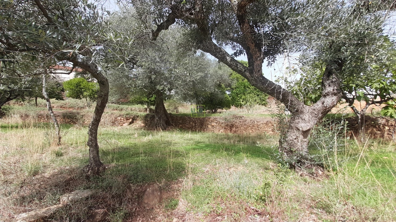 Moradia T4 para Venda em Ninho do Açor e Sobral do Campo Foto 20
