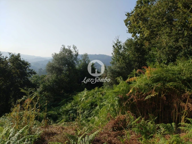 Moradia T3 para Venda em Rossas Foto 8