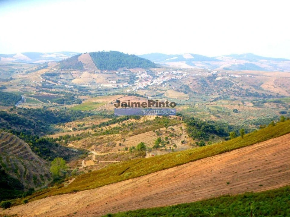 Terreno Agricola ou Rústico para Venda em Ligares Foto 1