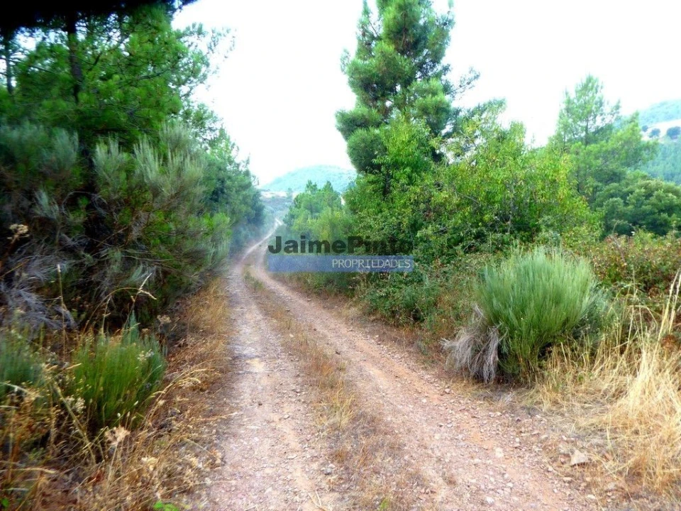 Terreno Agricola ou Rústico para Venda em Ligares Foto 6