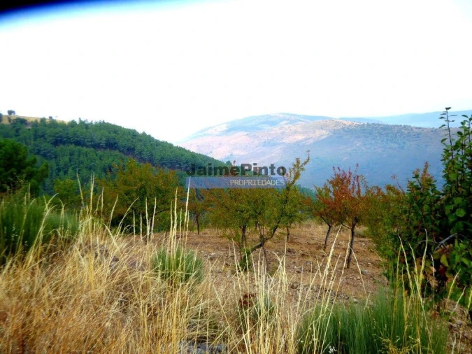 Terreno Agricola ou Rústico para Venda em Ligares Foto 2
