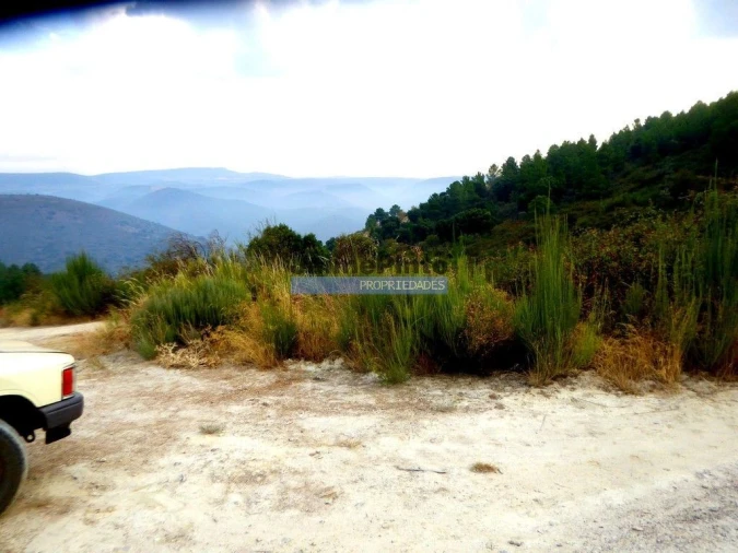 Terreno Agricola ou Rústico para Venda em Ligares Foto 3