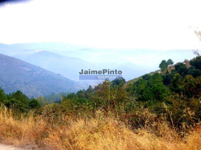Terreno Agricola ou Rústico para Venda em Ligares Foto 5