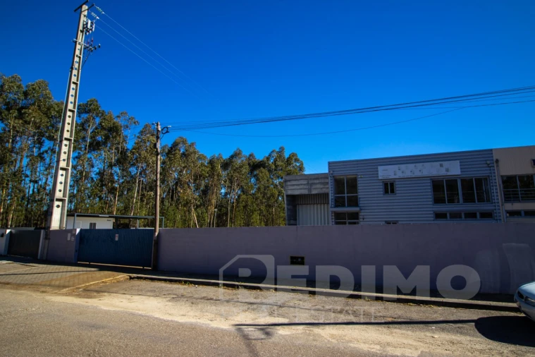 Armazém para Venda em Romariz Foto 3