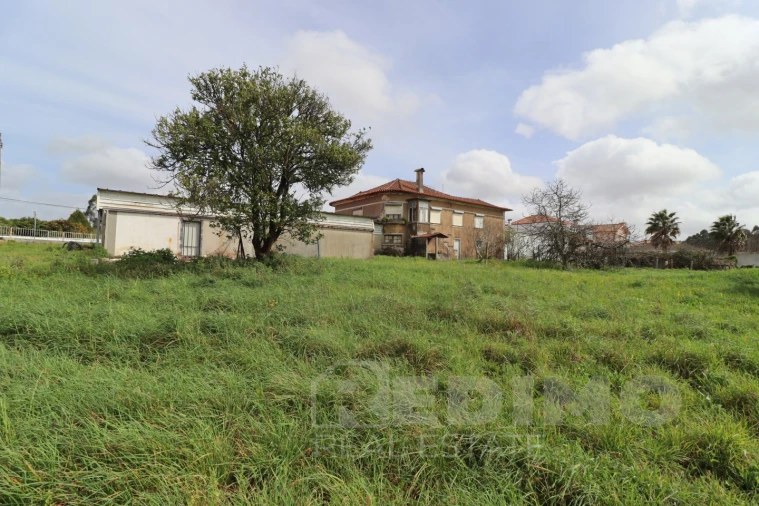 Terreno Misto para Venda em Argoncilhe Foto 16