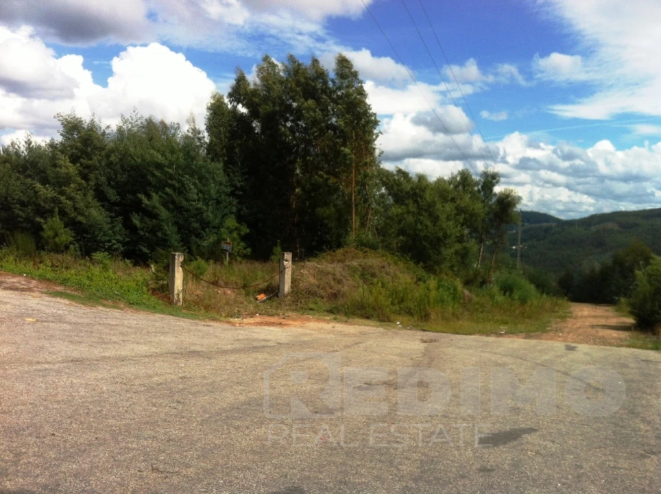 Terreno Comércio / Armazém para Venda em Mansores Foto 2
