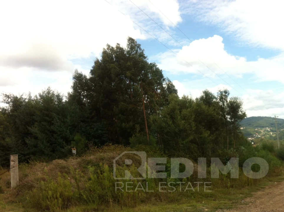 Terreno Comércio / Armazém para Venda em Mansores Foto 5
