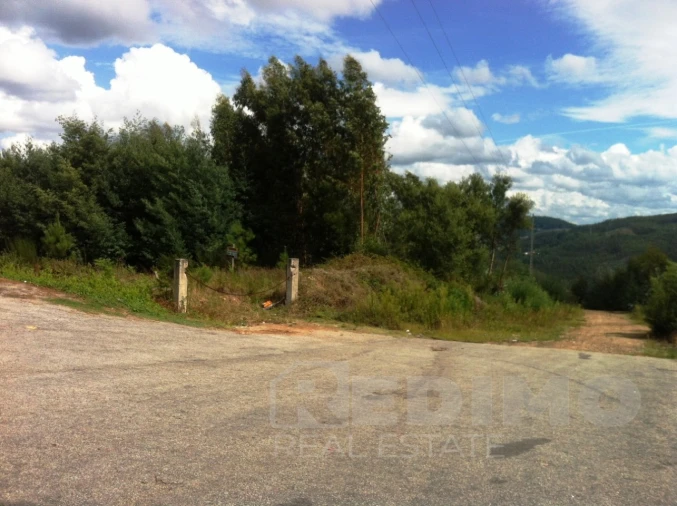 Terreno Comércio / Armazém para Venda em Mansores Foto 2