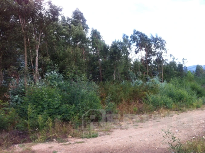 Terreno Comércio / Armazém para Venda em Mansores Foto 3