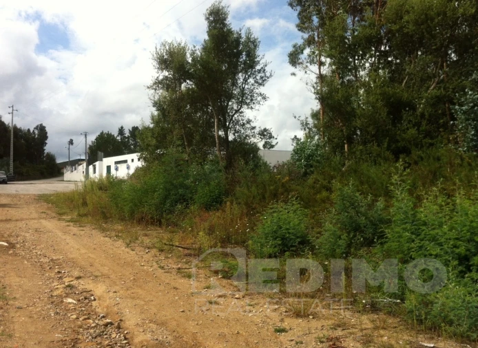 Terreno Comércio / Armazém para Venda em Mansores Foto 6
