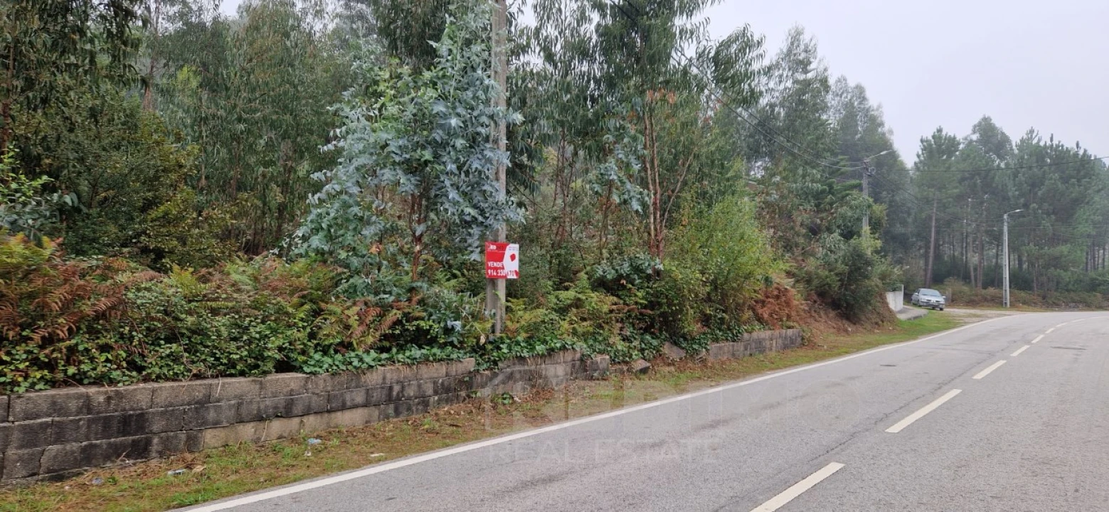 Terreno Misto para Venda em Canedo, Vale e Vila Maior Foto 4